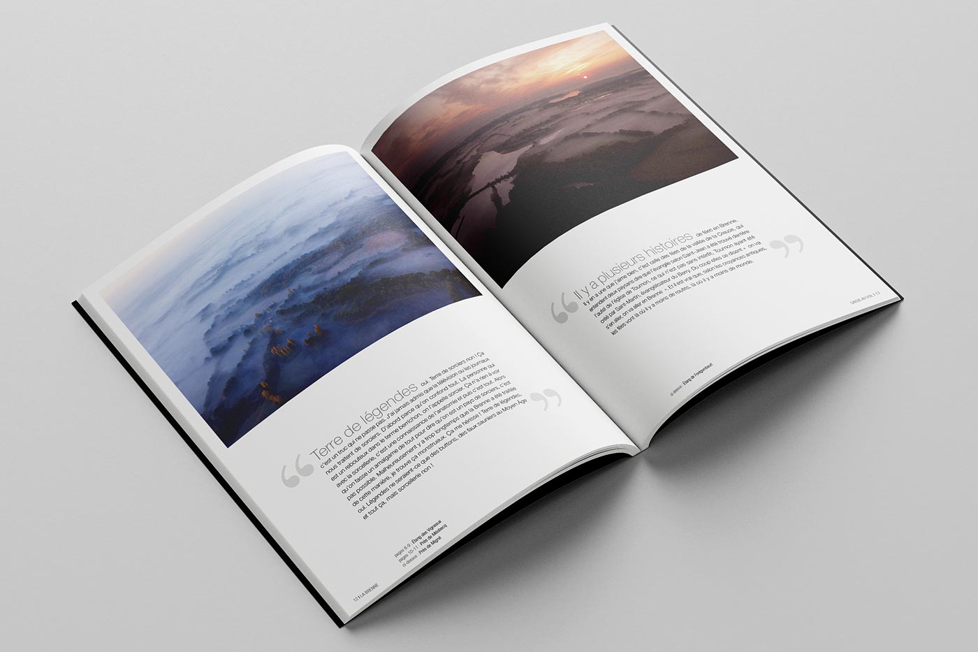 Conception graphique et mise en page du livre "La Brenne saisie au vol" des photographes naturalistes Jean-François Hellio et Nicolas Van Ingen