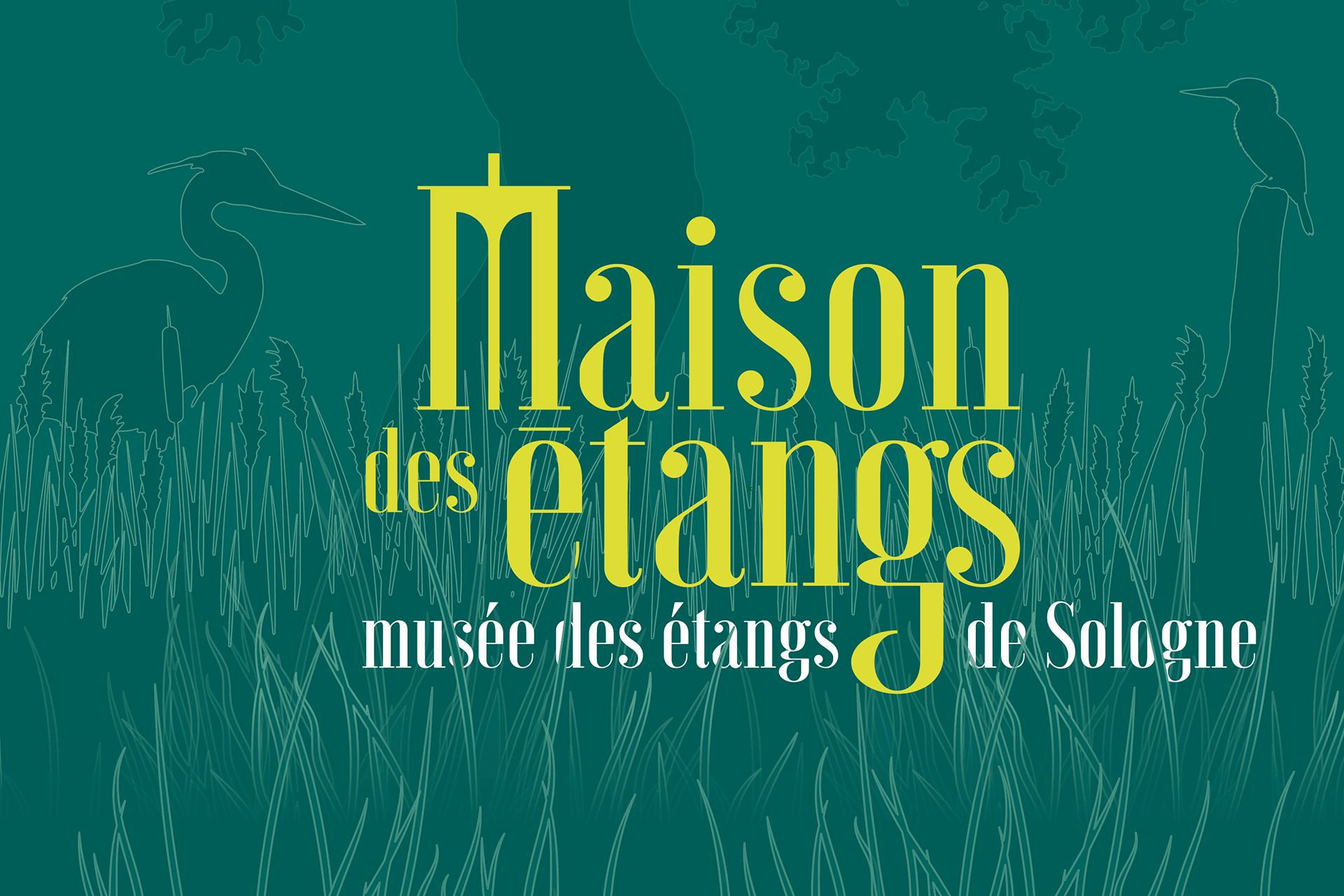 Identité visuelle de la Maison des étangs