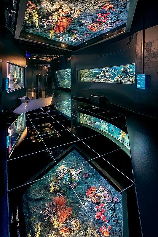 Photographe de musée Grenoble